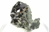 Gemmy Cassiterite Crystals on Quartz - Viloco Mine, Bolivia #249667-2